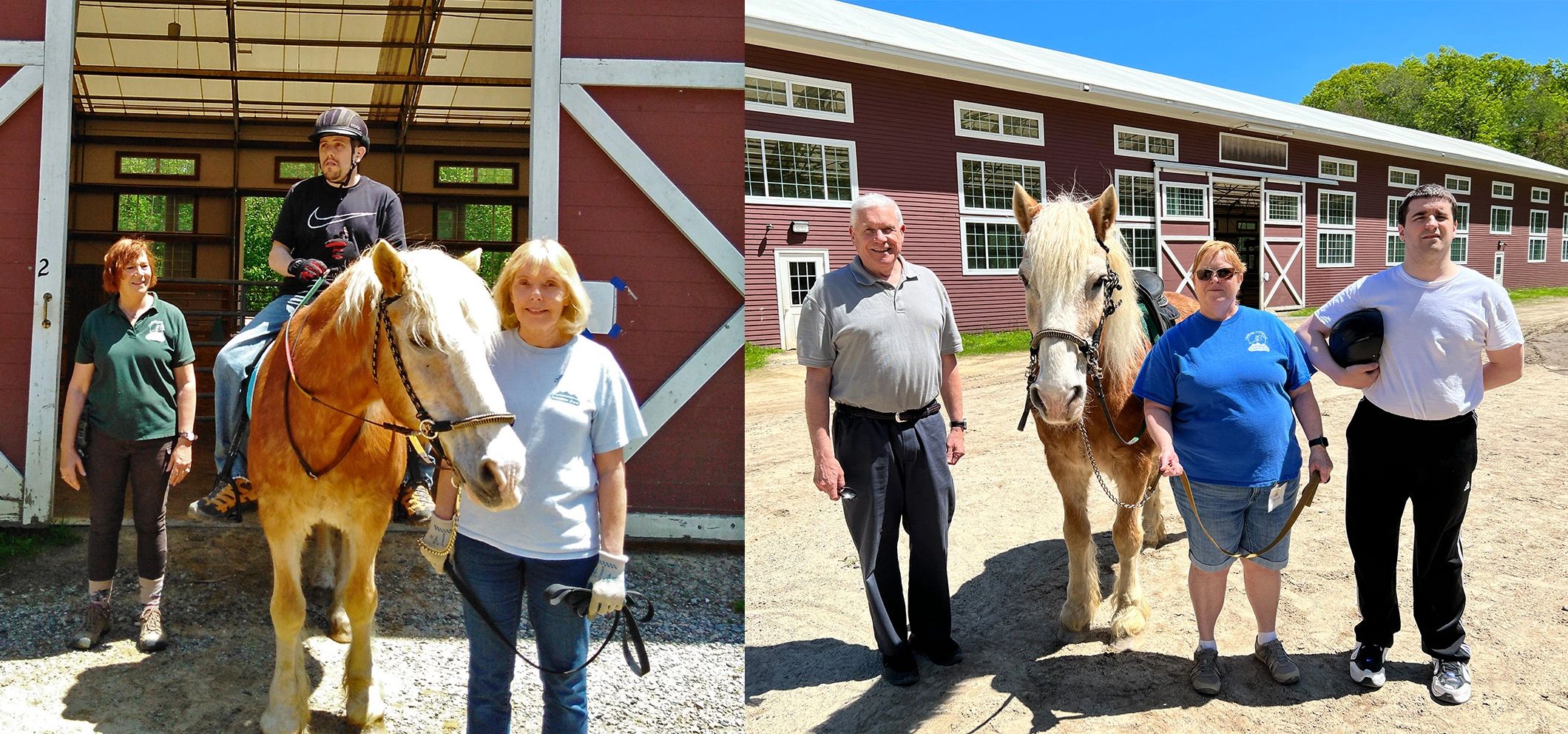 A retirement celebration for Kaiser the therapy pony